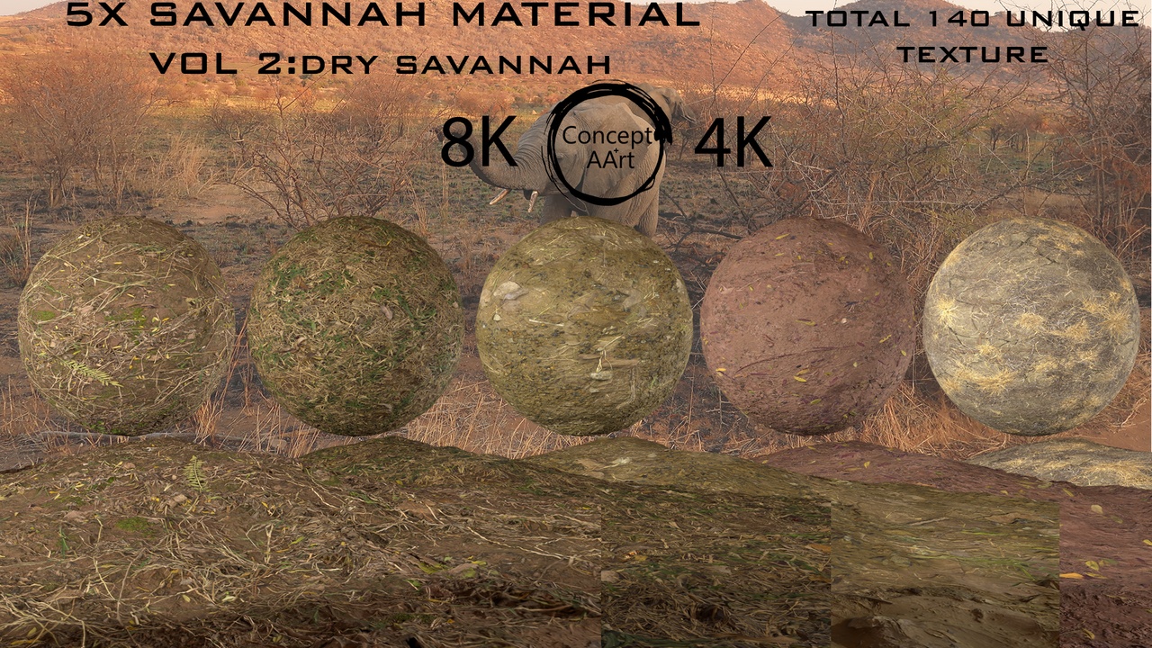 Media 1 for listing SAVANNAH VOL2:DRY SAVANNAH
