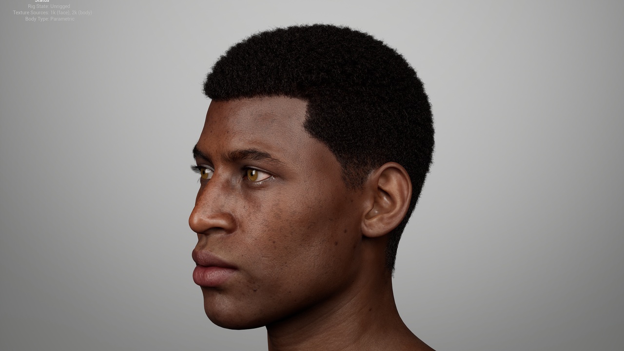 Media 1 for listing Short Rounded Coily Afro with Shape-Up – MetaHuman Groom
