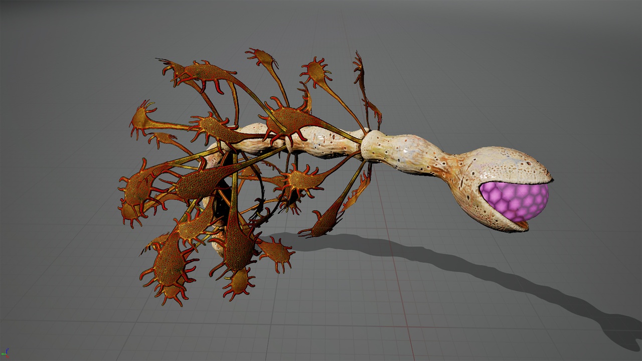 Alien flora 35 제품 등록을 위한 미디어 1개