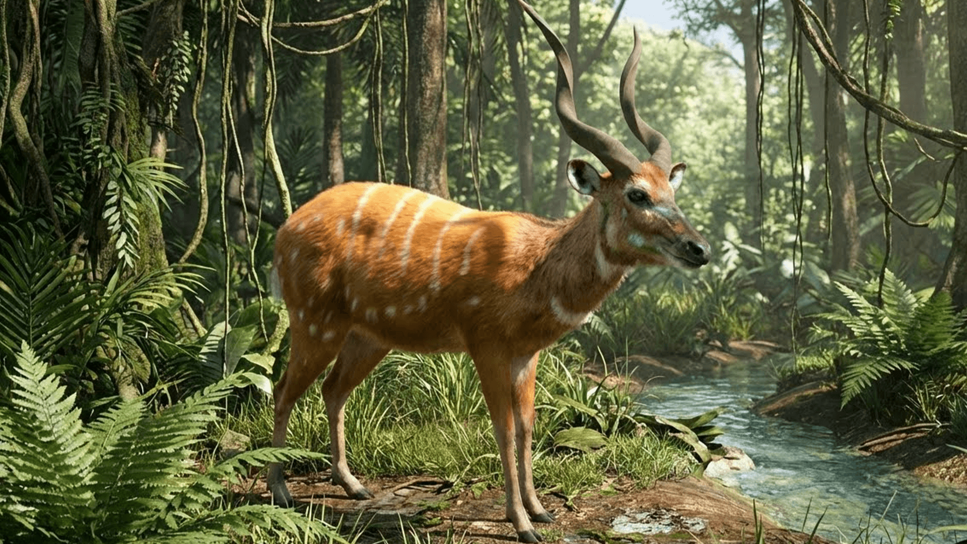 Sitatunga Sitatunga Antelope Realistic | Fab