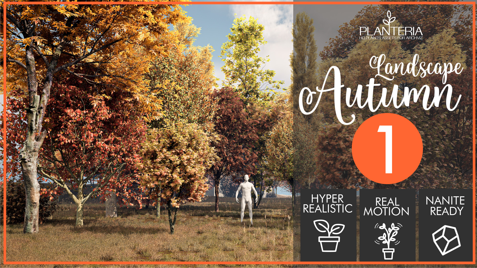 Landscaping Autumn 1