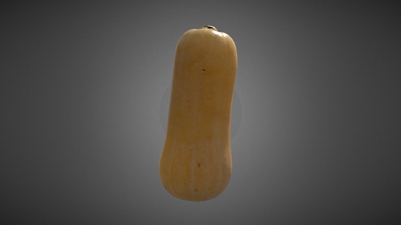 Media 1 for listing Butternut Squash