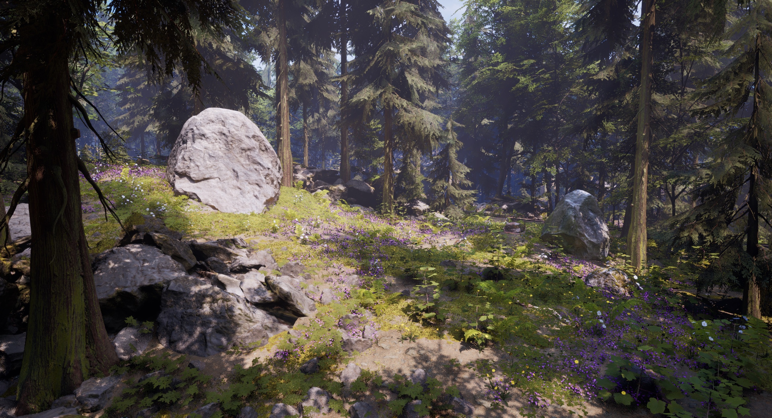 Media 1 for listing Photogrammetry Rocks n Rails