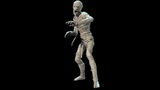 Asset image
