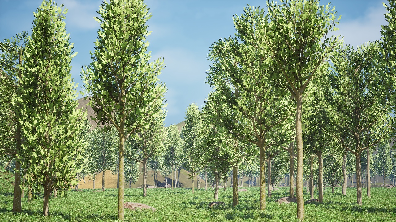 Media 1 for listing Realistic Tree Pack - Mid Poly 15P