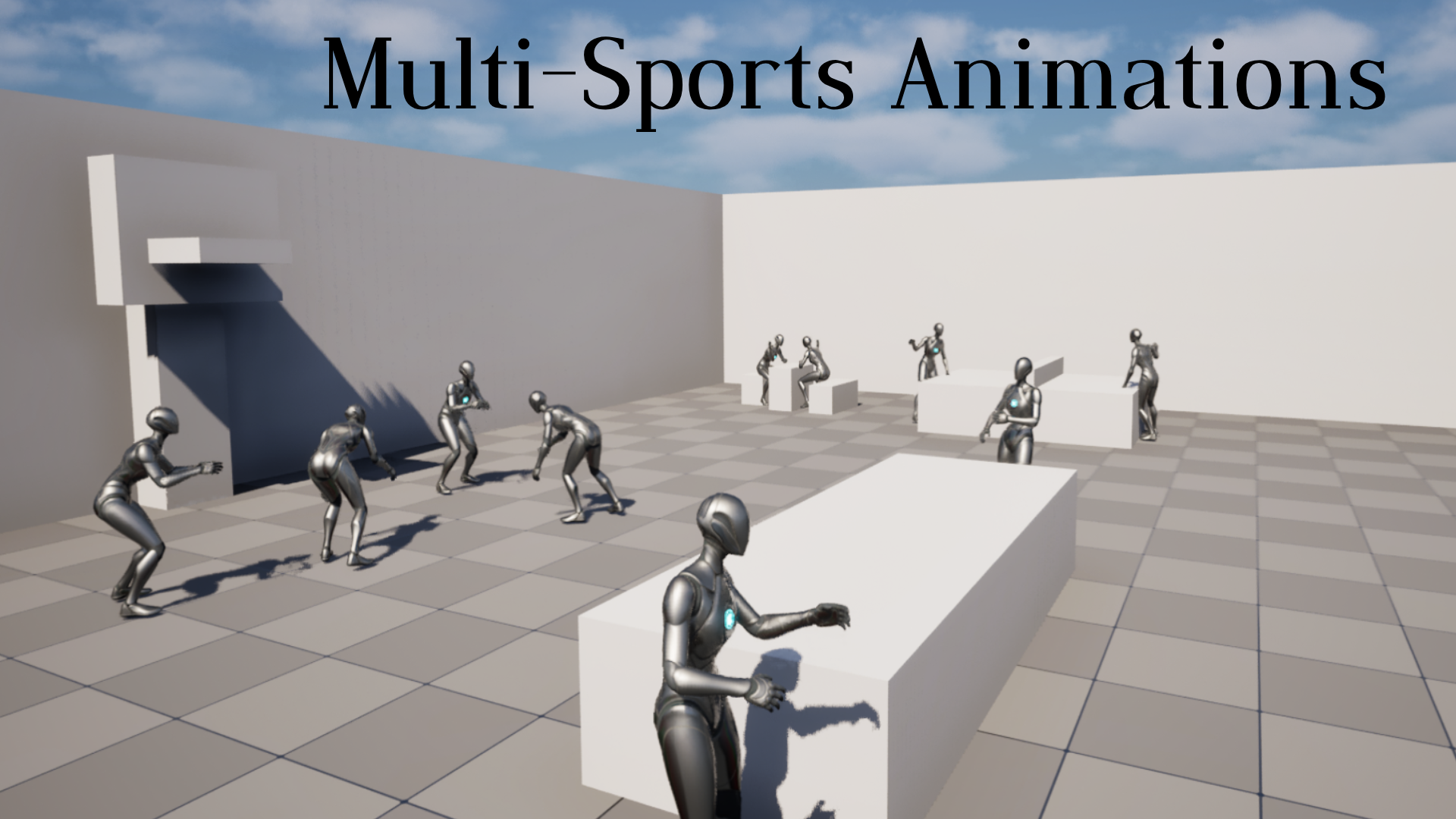 Multi-Sports Animations | Fab