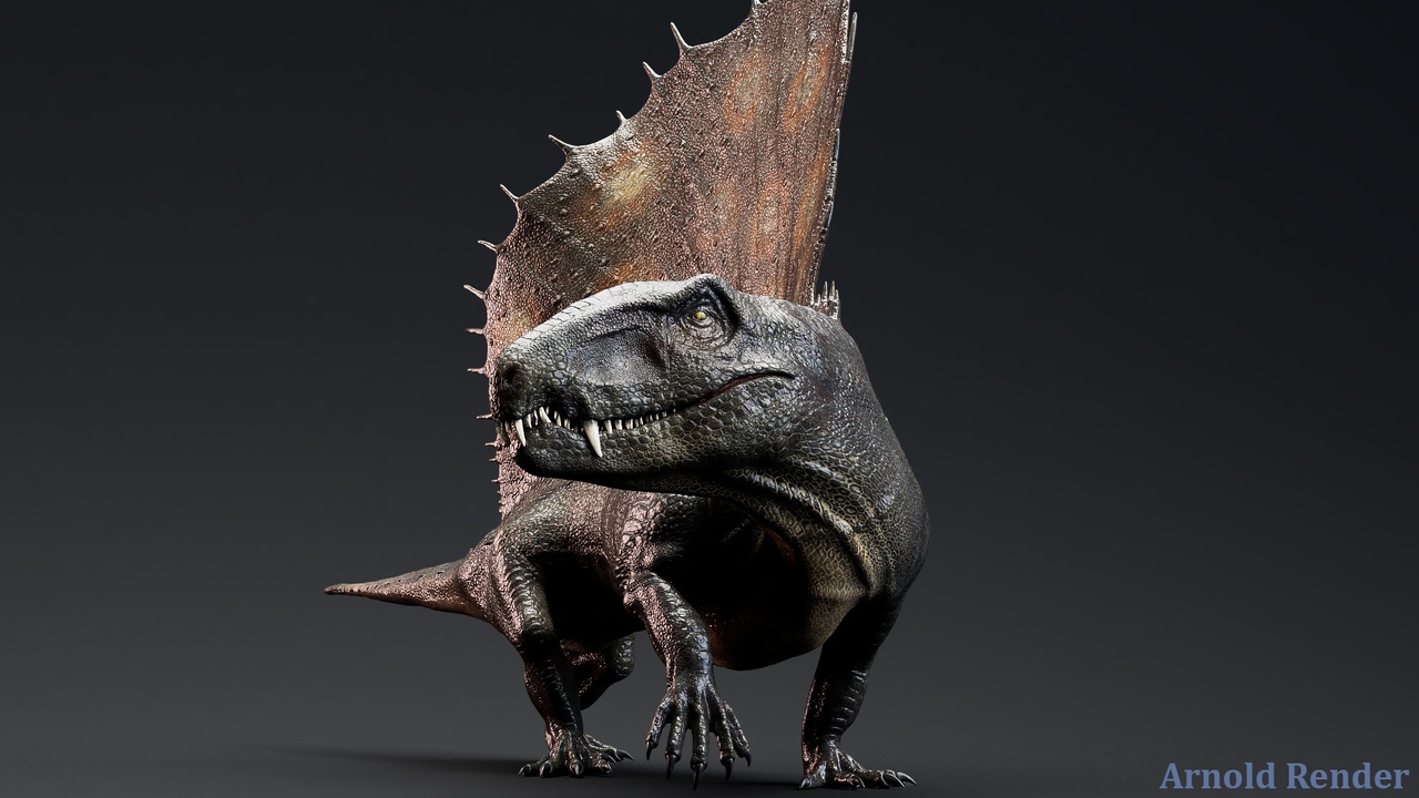 Media 1 for listing Dimetrodon Dinosaur