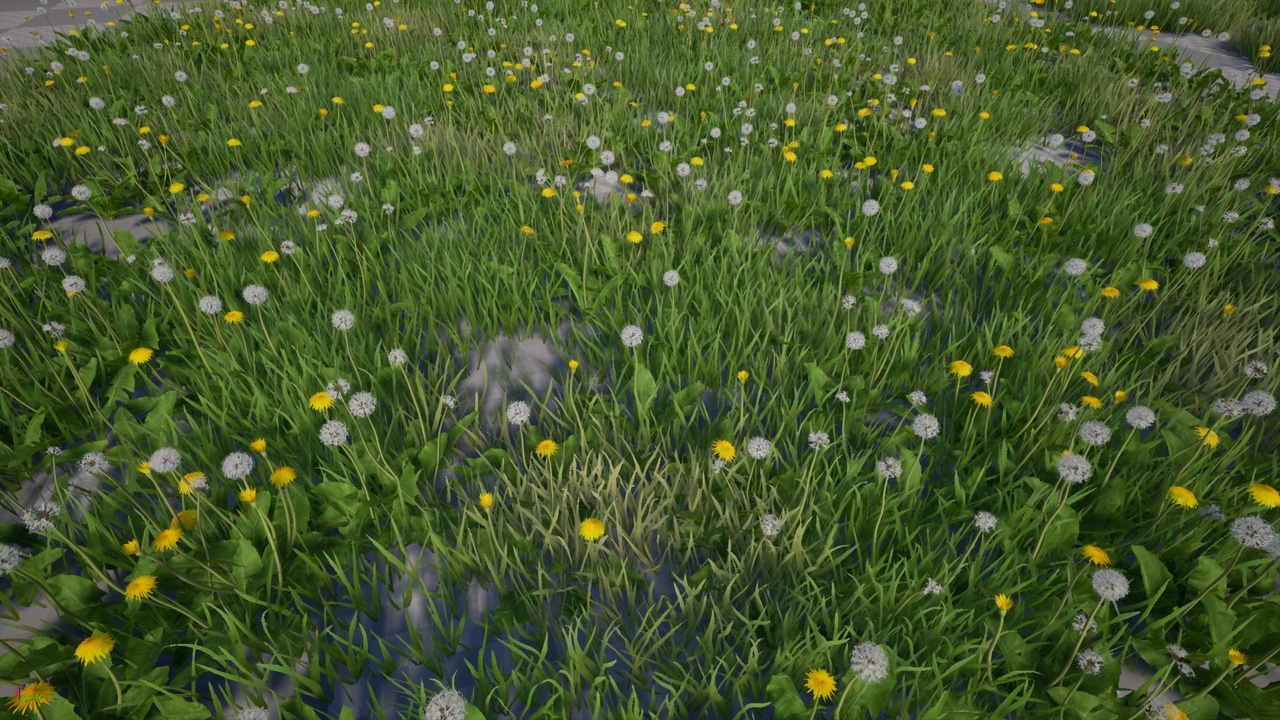 Media 1 for listing Flowers Pack