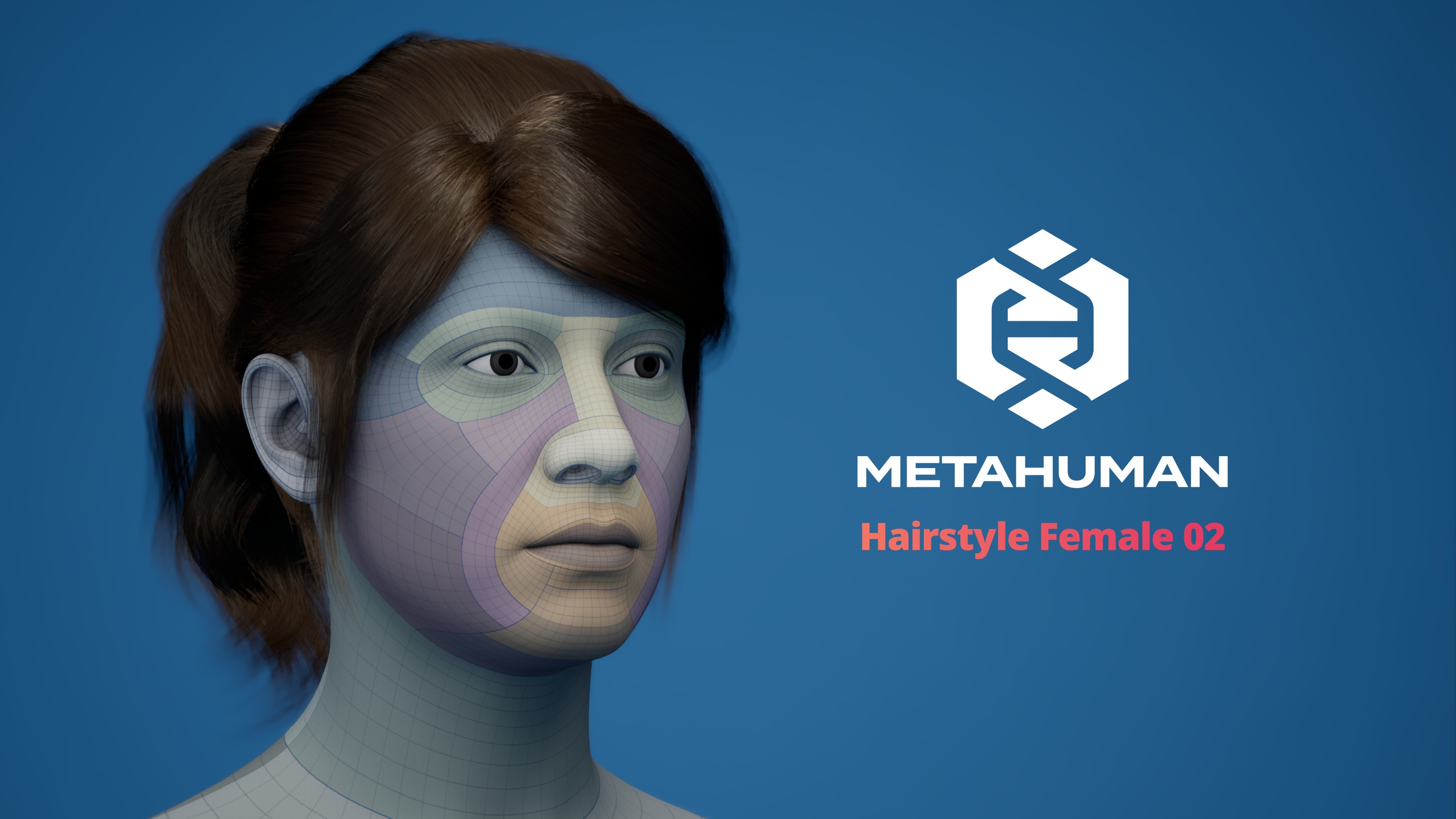 File multimediali per l'articolo MetaHuman Hairstyle Female 02 Groom: 1