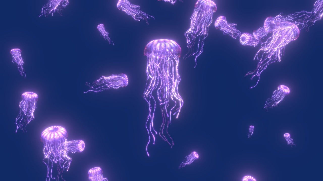 Media 1 for listing Jelly Fish Swarm