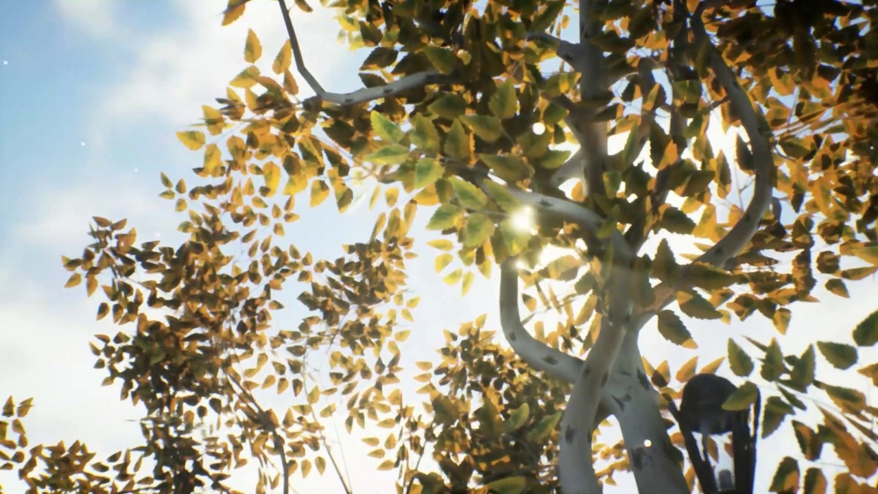 Media 1 for listing Tree Pack 10 (Mobile/PC)