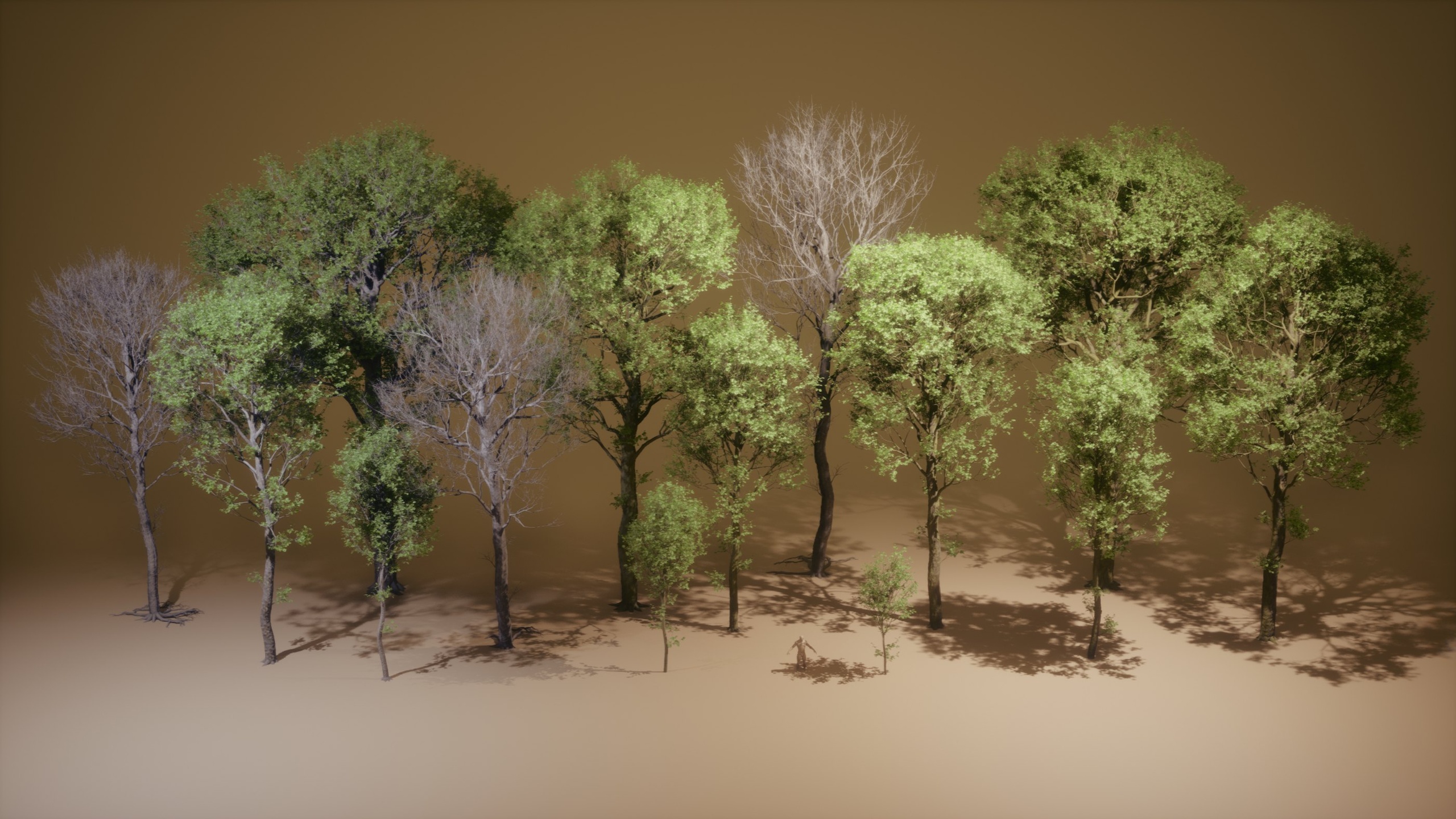 Foliage VOL.45 - Beech Trees (Nanite - NO TRANSPARENCY)