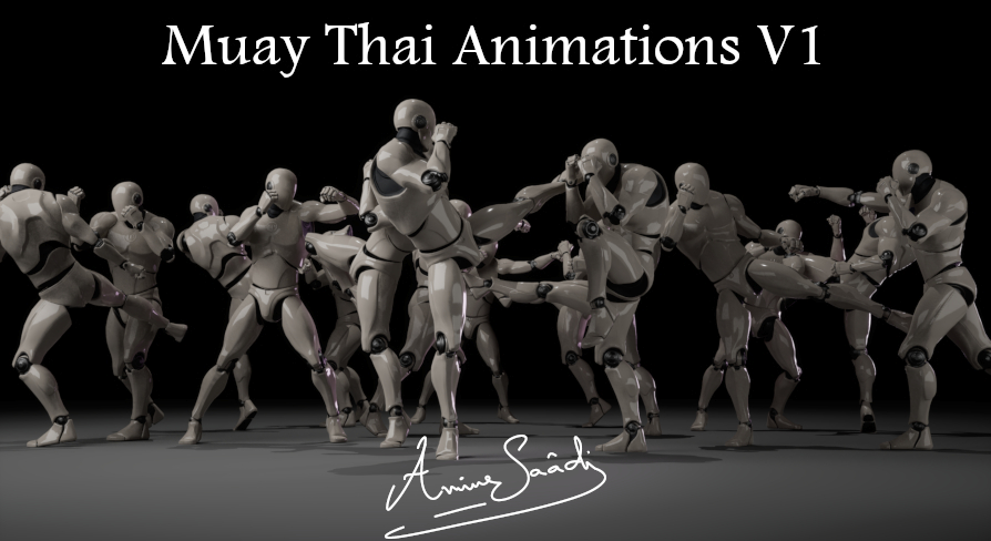 Combat animations - Kickboxing and Muay Thai V1 | Fab