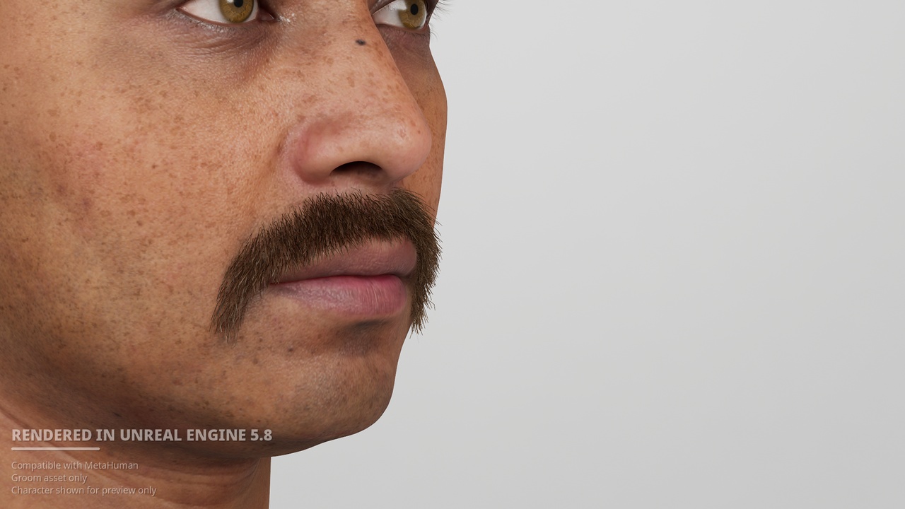 Media 1 for listing Short Horseshoe Mustache Groom for MetaHuman