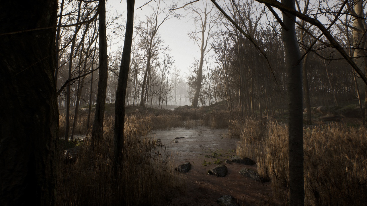 商品 Procedural Forest 的媒体 1