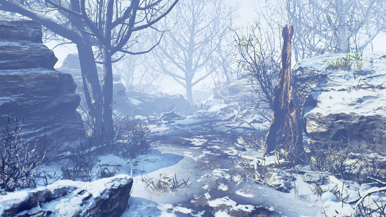 Media 1 for listing Winter Forest Set