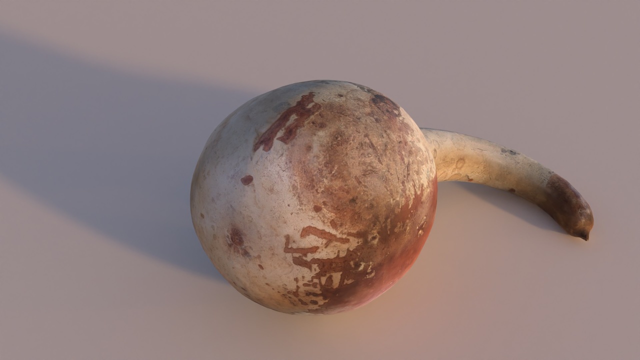 Media 1 for listing Dry Pumpkin