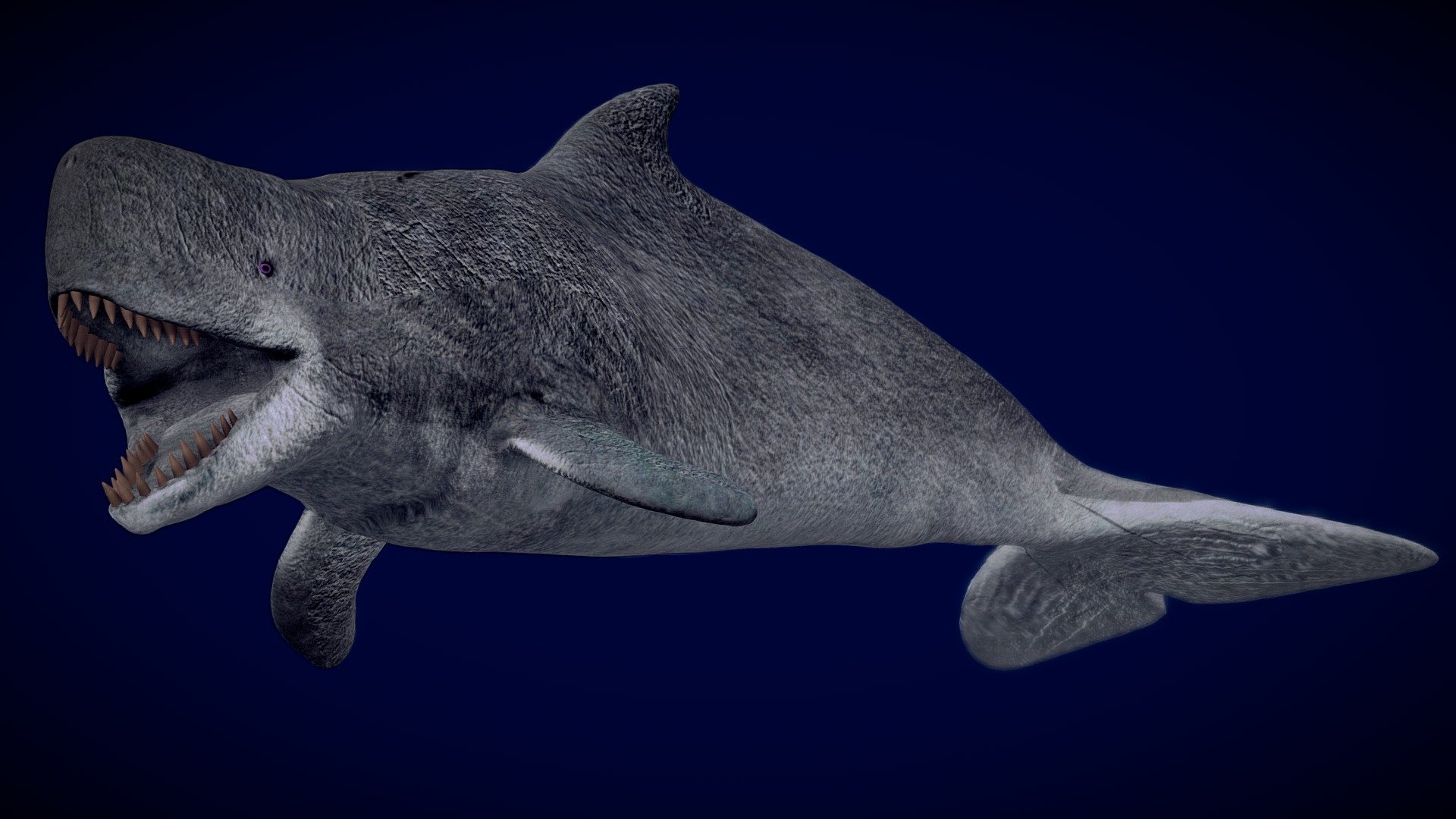 Animated Livyatan melvillei | Fab