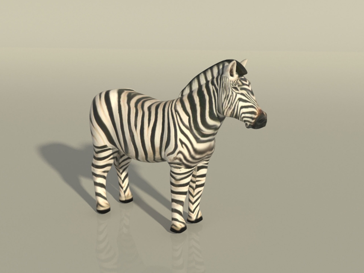 Media 1 for listing Zebra