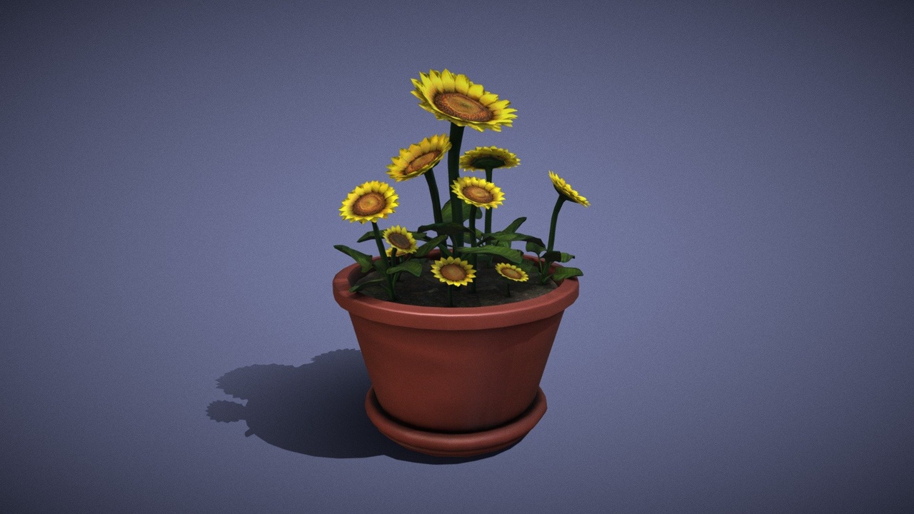 Media 1 for listing Sunflowers In Red Clay Planter