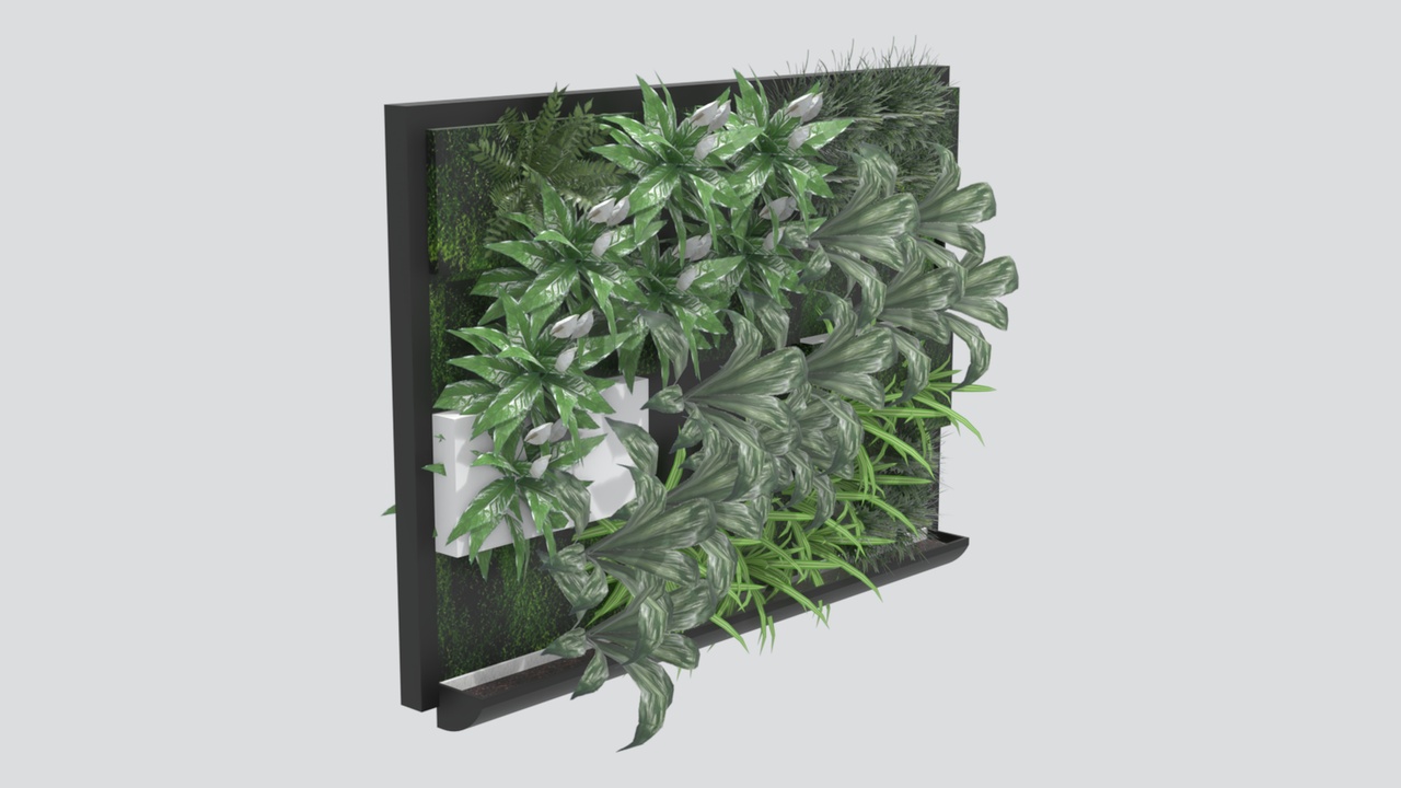 Media 1 for listing Black Frame Living Wall Panel with Tropical Plants 3D Model