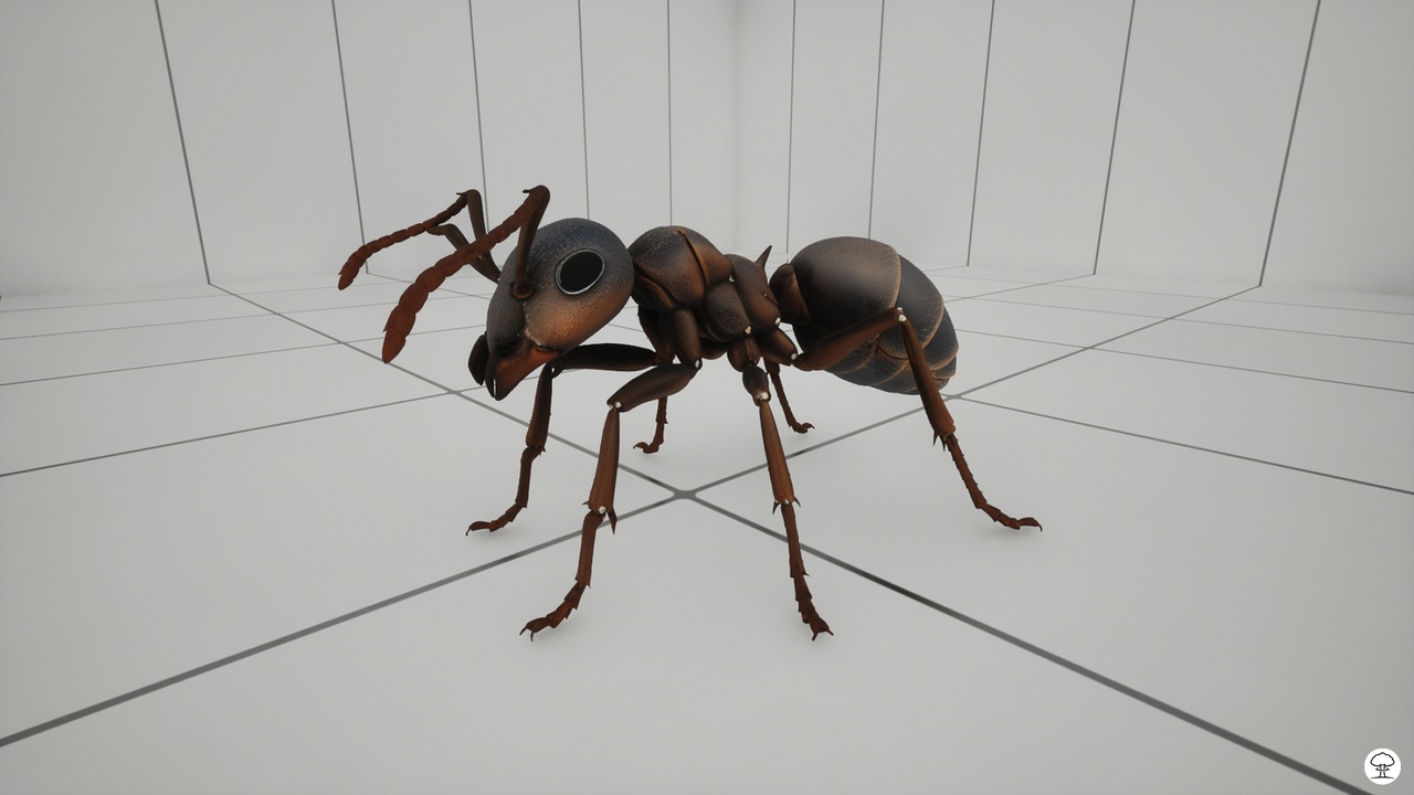 Ant | Realistic mesh | Fab