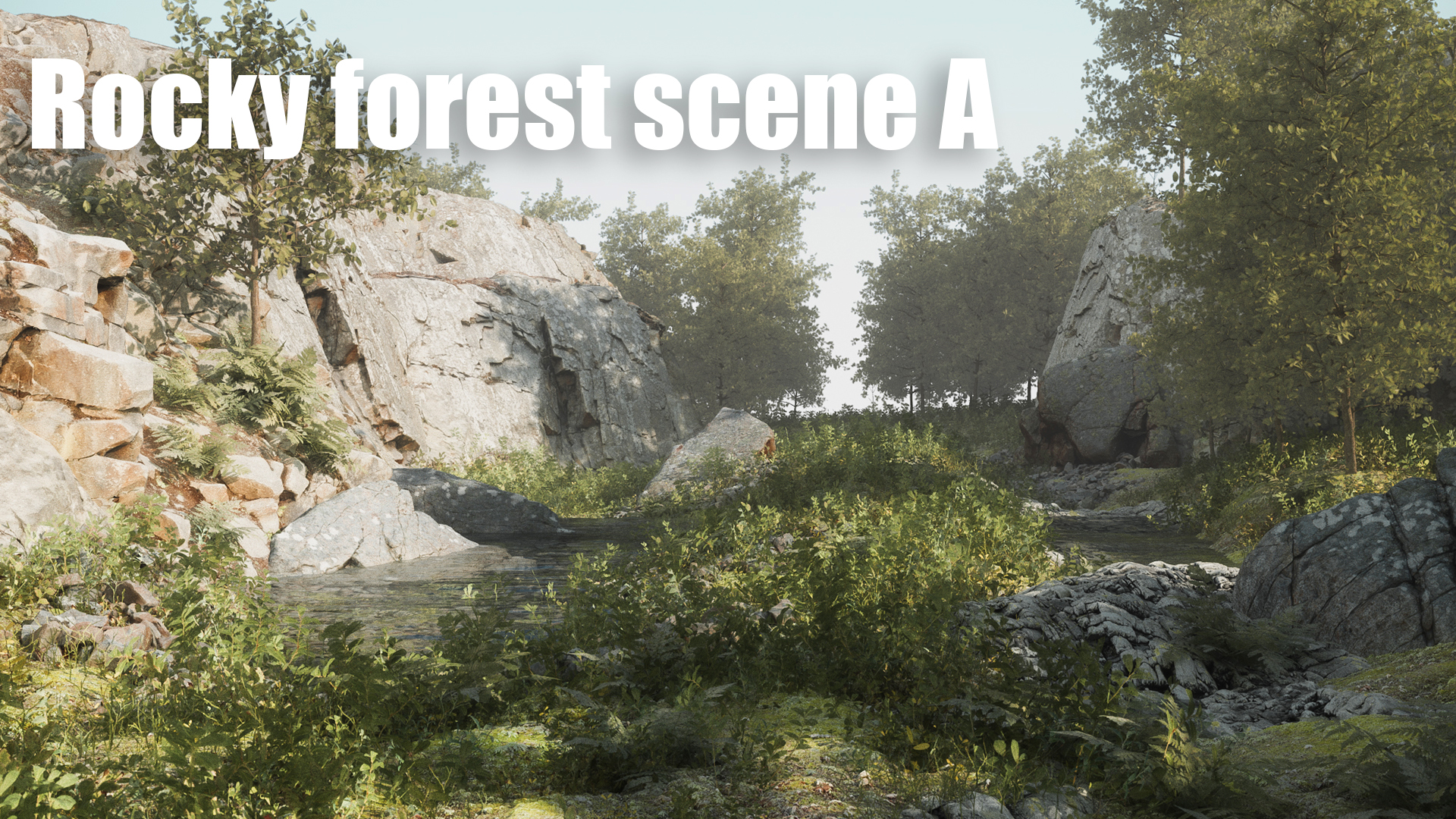 Rocky forest scene A | Fab