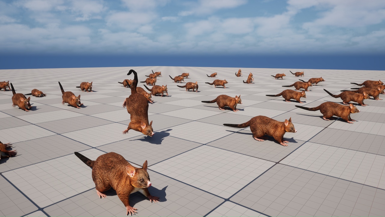 Media 1 for listing Common Brushtail Possum