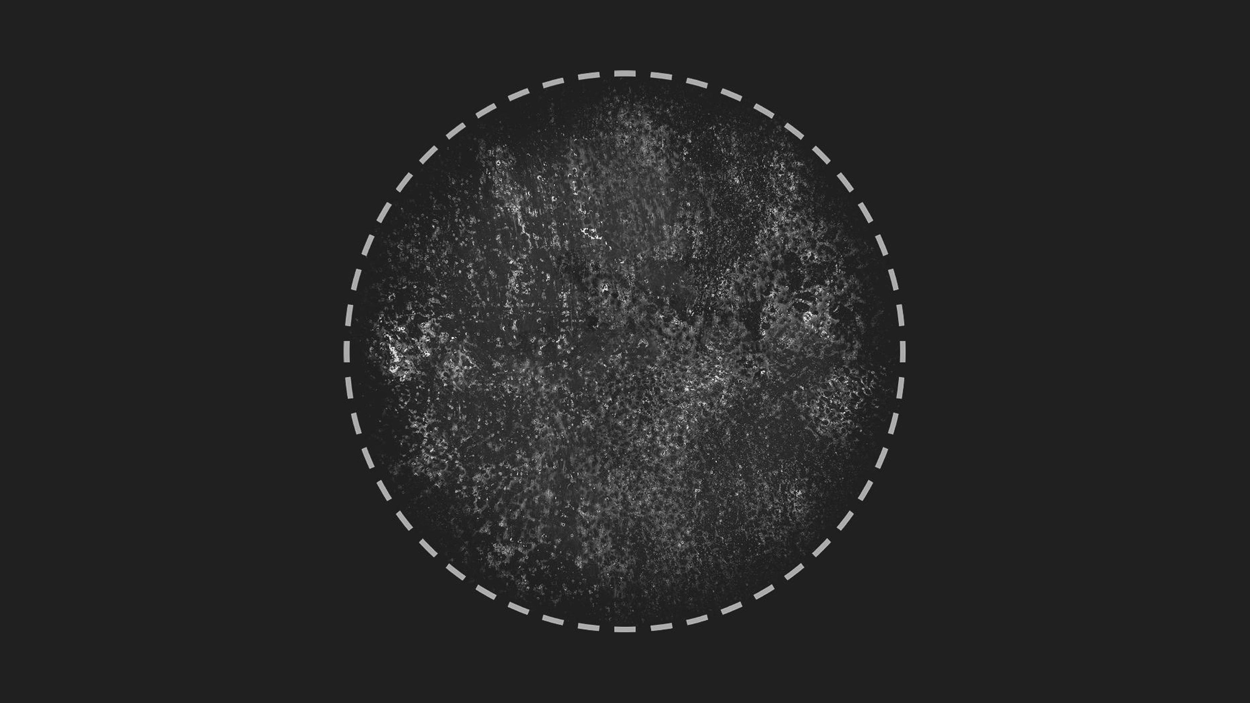 Media 1 for listing Grunge