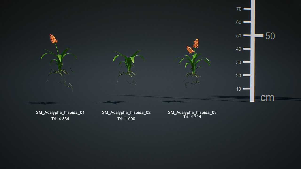 Media 1 for listing World Pack:Jungle Vol #5