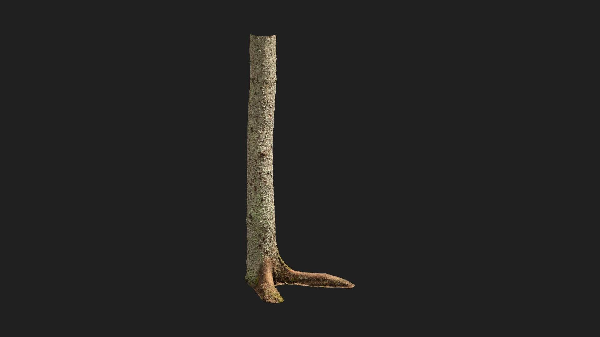 Nordic Forest Tree Trunk Spruce Medium | Fab