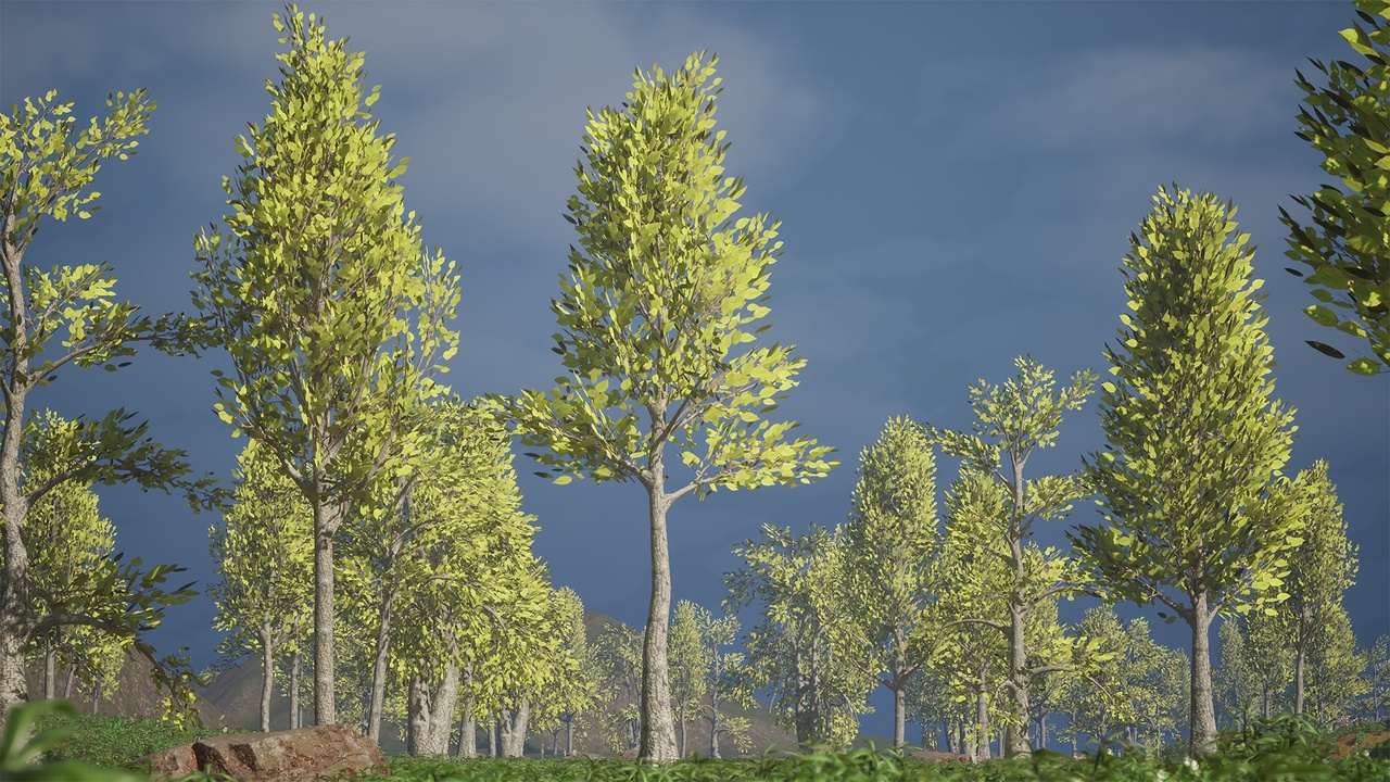 Media 1 for listing Realistic Low Poly Tree Pack 59M