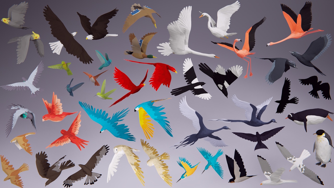 Media 1 for listing Low Poly Bird: Ultimate Pack
