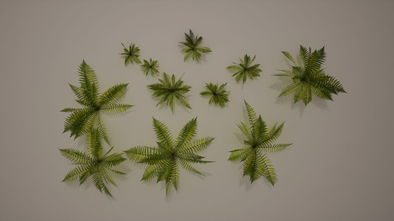 商品 Full Geometry Ferns 的媒体 1
