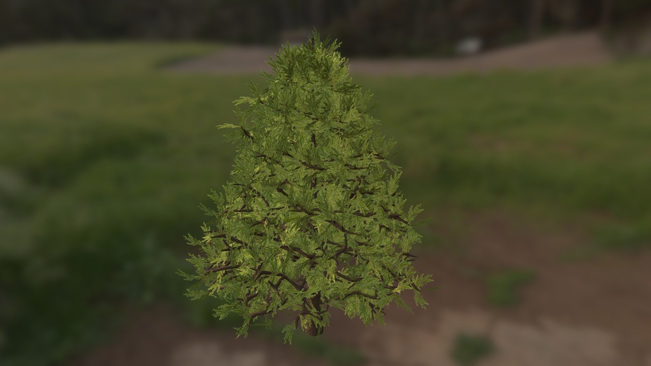 Media 1 for listing Pine
