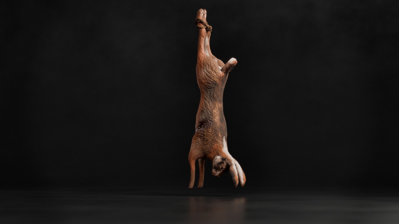 Media 1 for listing Hunted Hare