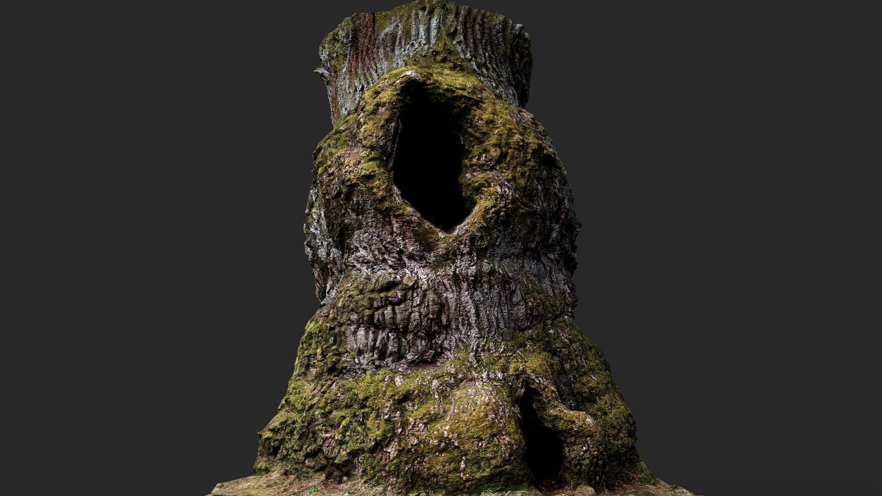 Media 1 for listing oak fantasy tree large trunk remains PBR photogrammetry