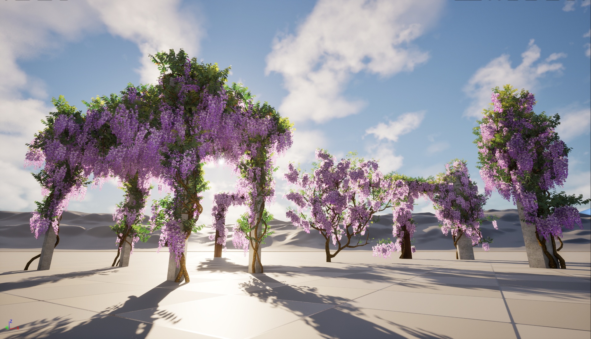 Media 1 for listing Nanite Wind Plants - Wisteria sinensis - Chinese wisteria 02