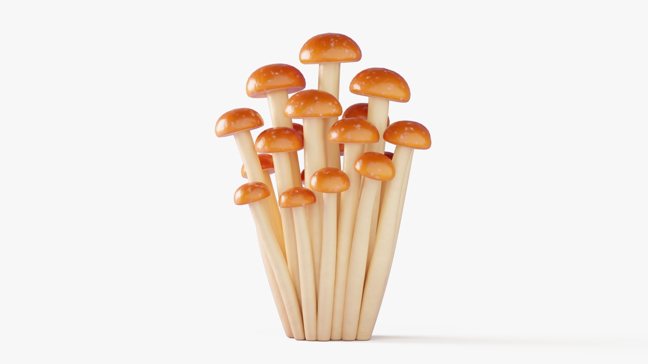 Media 1 for listing Cartoon Honey Mushrooms