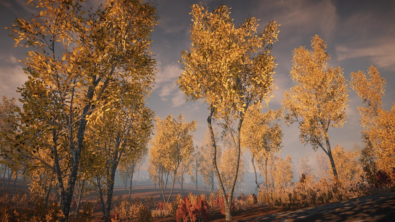 Media 1 for listing Realistic Mega Trees Bundle (Mobile/PC)