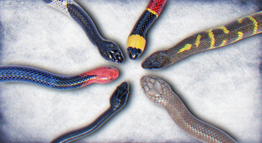 Leaflet Snake Animation Animated Snakes Volume 5 | Fab