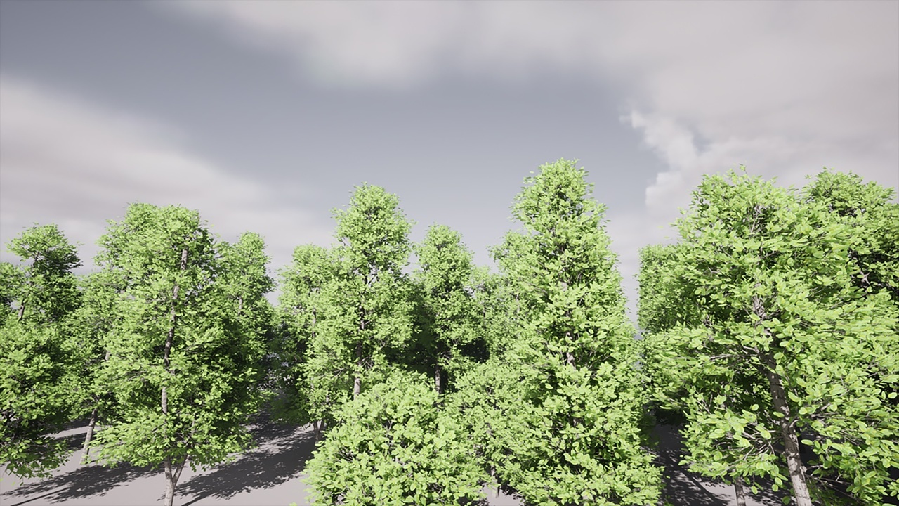 Media 1 for listing HighPoly Tree Bundle 9 (5 in 1)