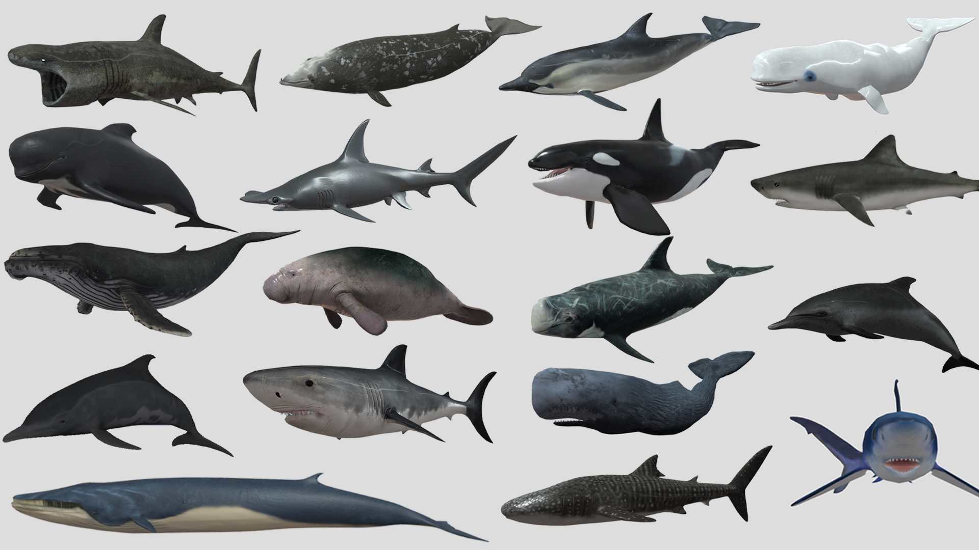 Big Fish Collection Animated | Fab