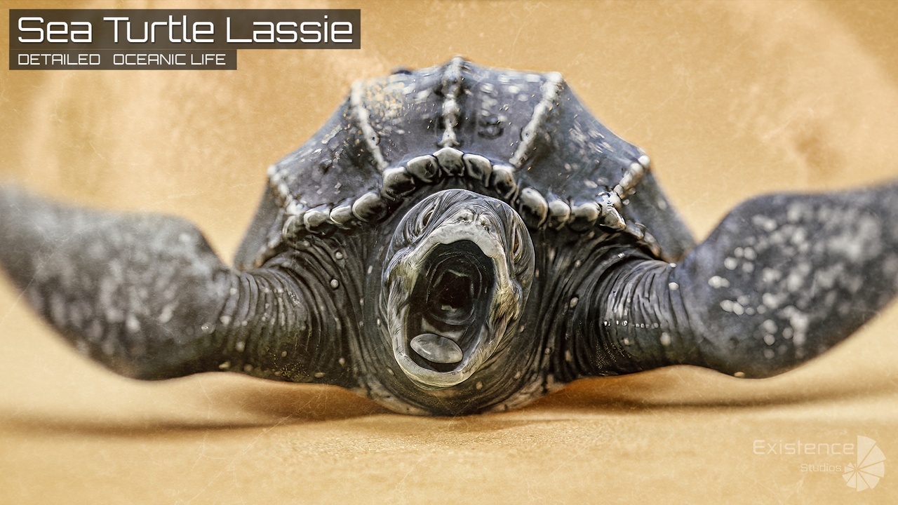 Media 1 for listing Sea Turtle - Lassie Reptile - Underwater Monster Creature - Shell Animal - #36