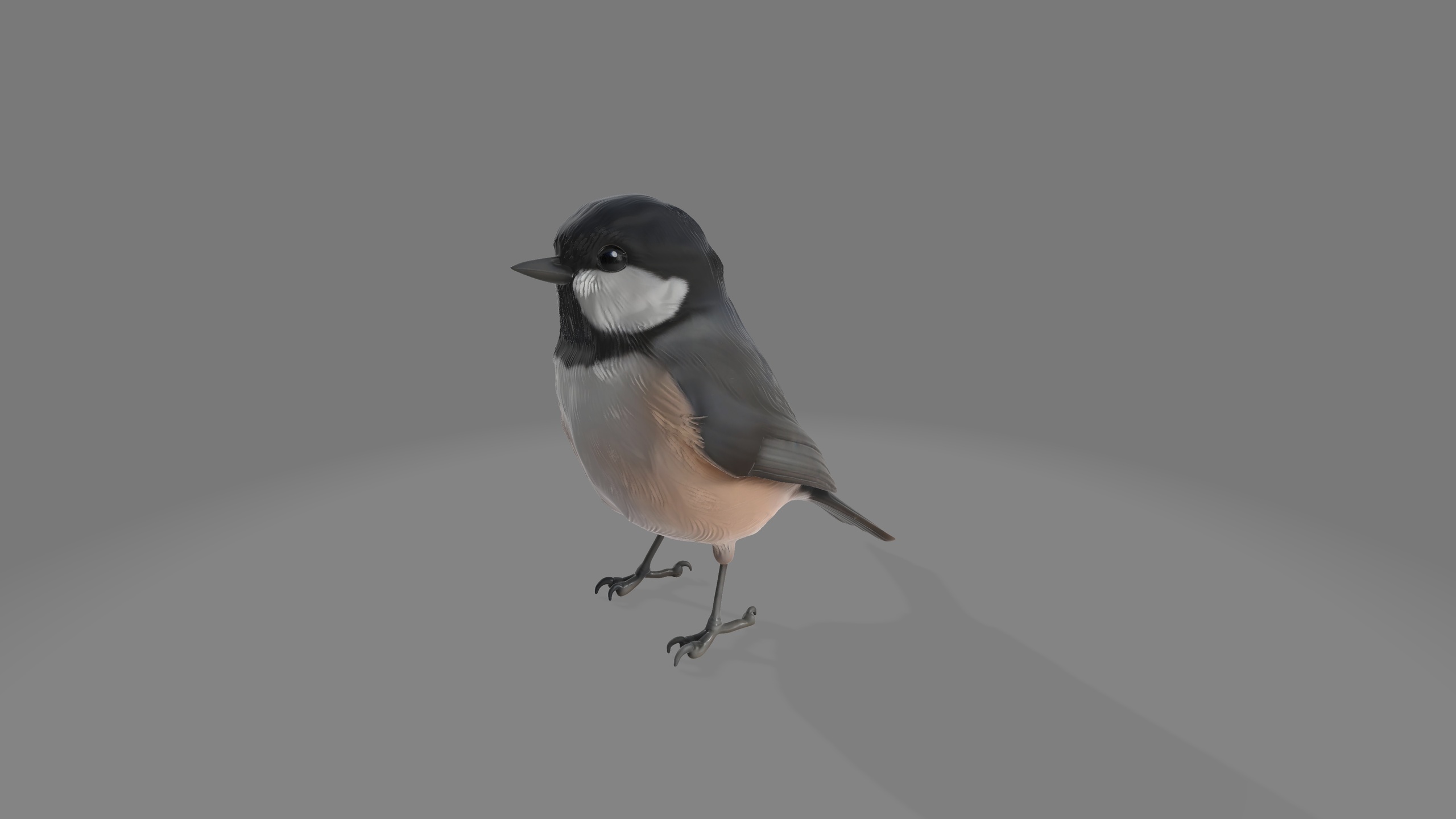 Media 1 for listing Whispering Bird