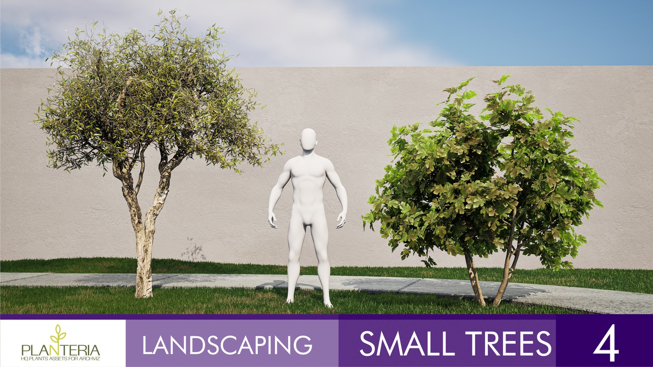 商品 Small Trees 4 的媒体 1