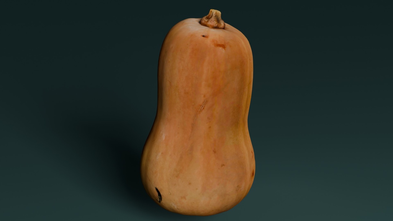 Media 1 for listing Pumpkin Butternut