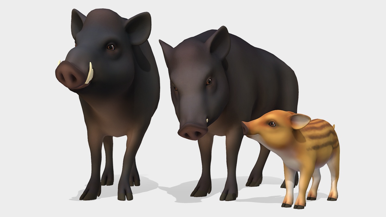 Media 1 for listing Cartoon - Boar