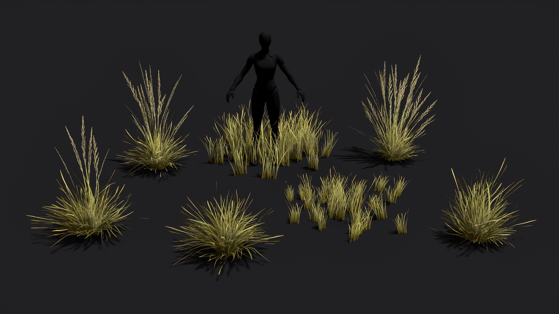 Media 1 for listing Feather grass (calamagrostis x acutiflora) clump low poly and game ready