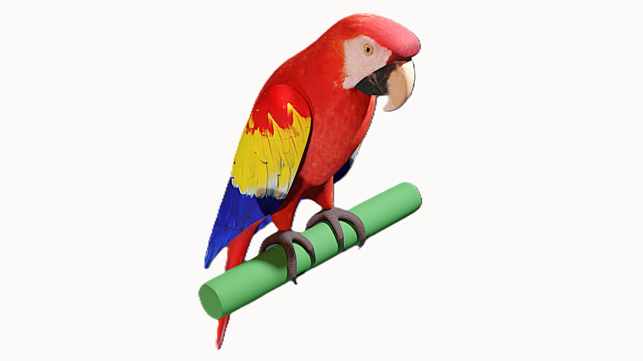 Media 1 for listing Stylized Tropical Scarlet Macaw Parrot 3D Model
